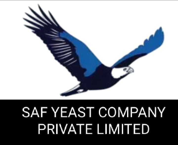 saf yeast